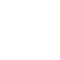 icono3
